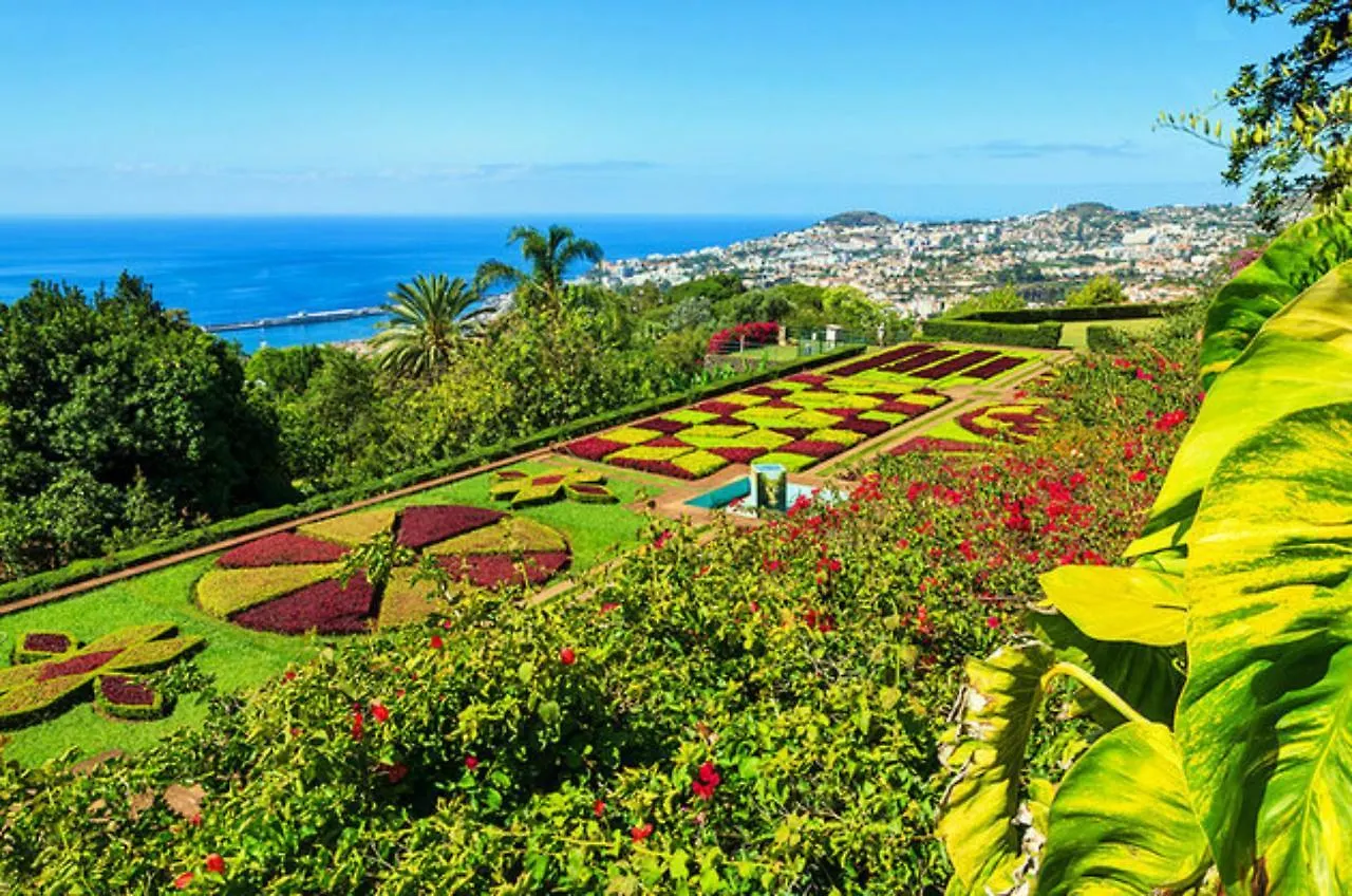 Mary Jane Apartment Funchal By Rentallido